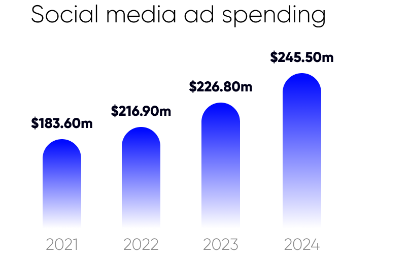 Social media ad spending in Egypt